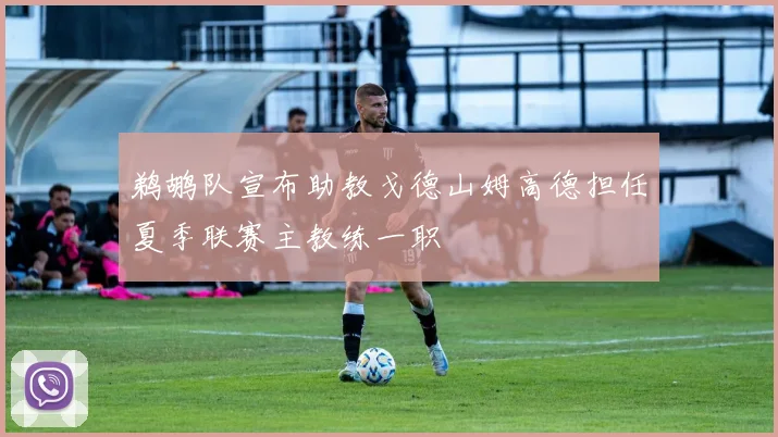 鹈鹕队宣布助教戈德山姆高德担任夏季联赛主教练一职